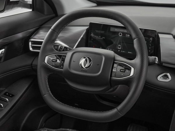 Dongfeng Mage, I фото №10