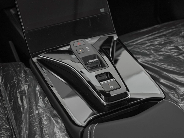 Dongfeng Mage, I фото №15