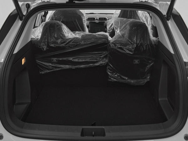 Dongfeng Mage, I фото №17