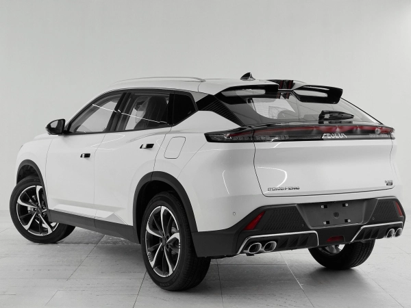 Dongfeng Mage, I фото №4