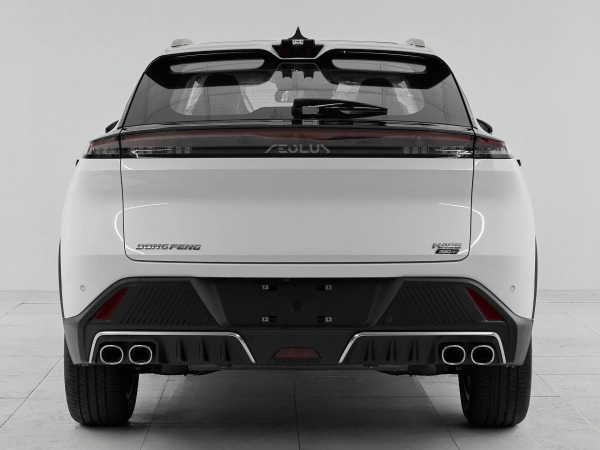 Dongfeng Mage, I фото №5