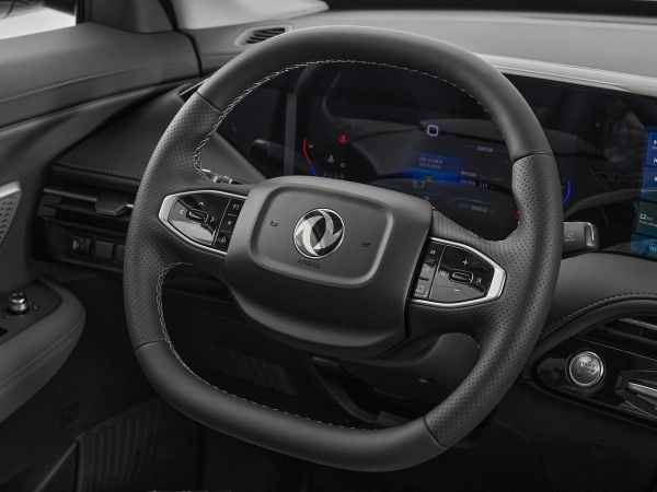 Dongfeng Huge, I фото №11