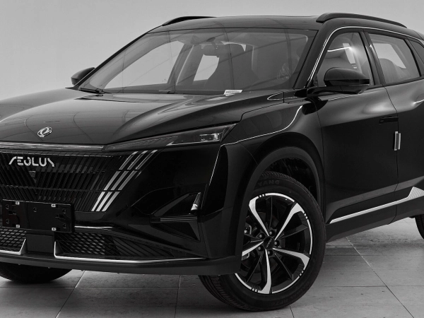 Dongfeng Mage, I фото №1