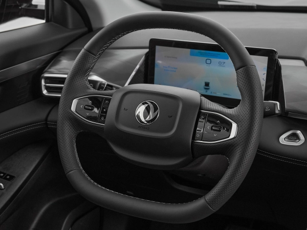 Dongfeng Mage, I фото №11