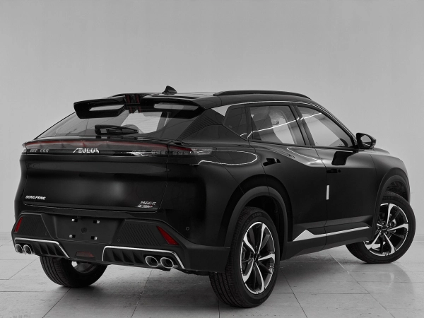 Dongfeng Mage, I фото №6