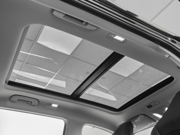 Dongfeng Mage, I фото №7