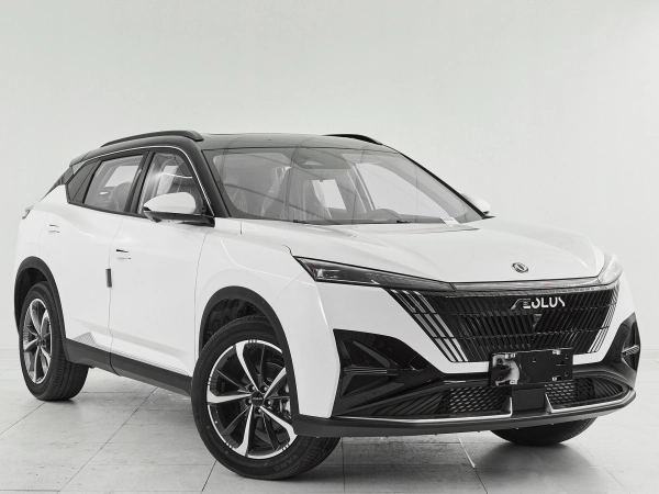 Dongfeng Mage, I фото №3