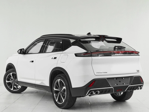 Dongfeng Mage, I фото №4