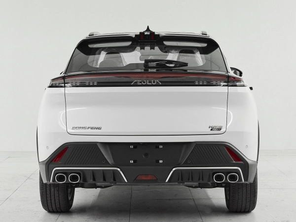 Dongfeng Mage, I фото №5
