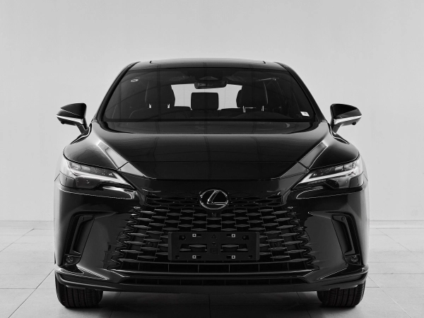 Lexus RX, V фото №2