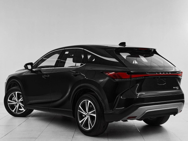 Lexus RX, V фото №4