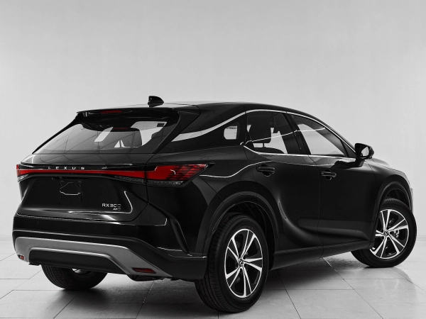 Lexus RX, V фото №6