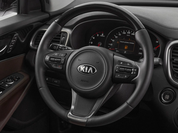 Kia Sorento, III Prime фото №11