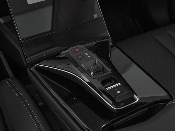 Dongfeng Mage, I фото №15