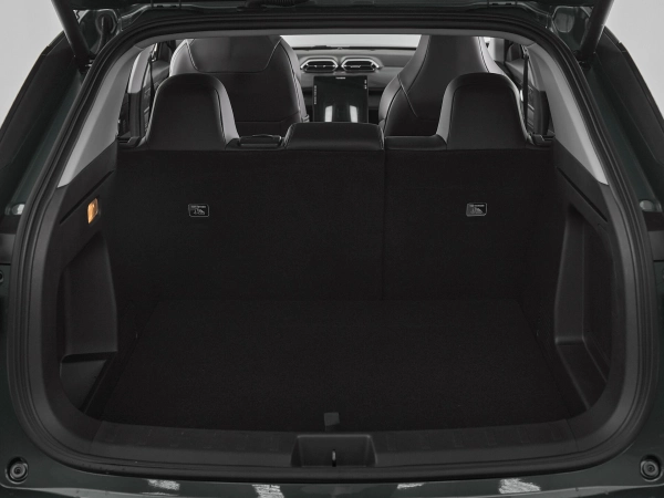 Dongfeng Mage, I фото №17