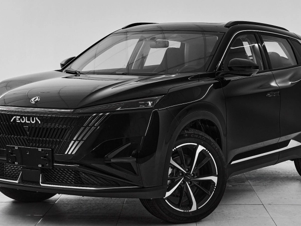 Dongfeng Mage, I фото №1