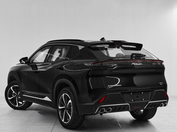 Dongfeng Mage, I фото №4