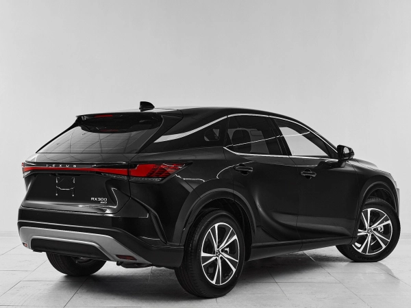 Lexus RX, V фото №6