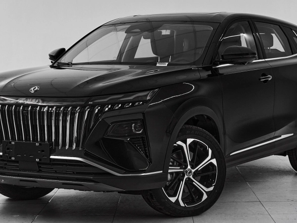 Dongfeng Huge, I фото №1