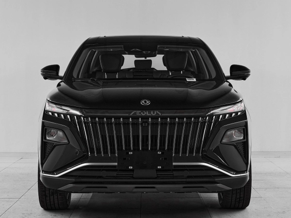 Dongfeng Huge, I фото №2
