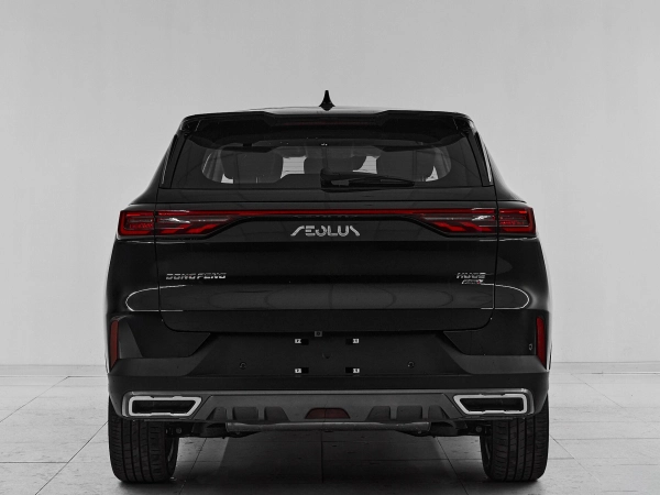 Dongfeng Huge, I фото №5