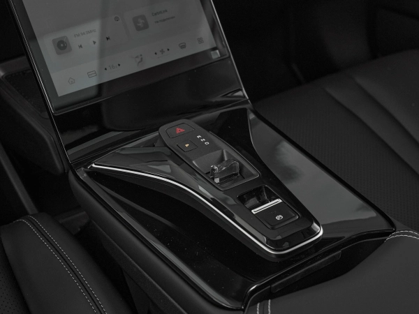 Dongfeng Mage, I фото №17