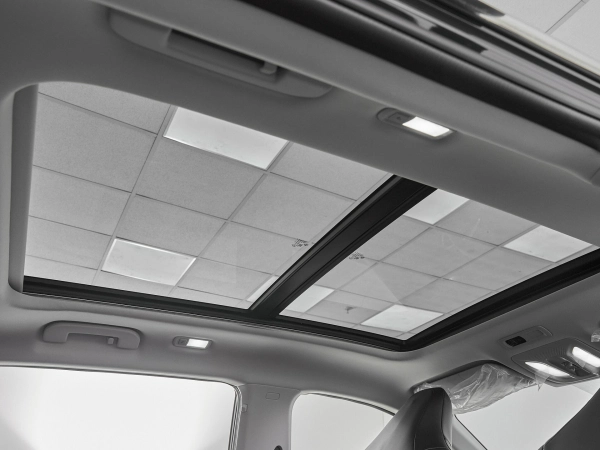 Dongfeng Mage, I фото №7