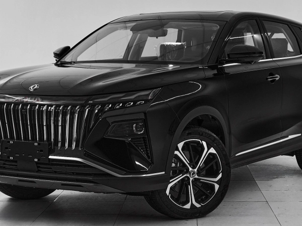 Dongfeng Huge, I фото №1