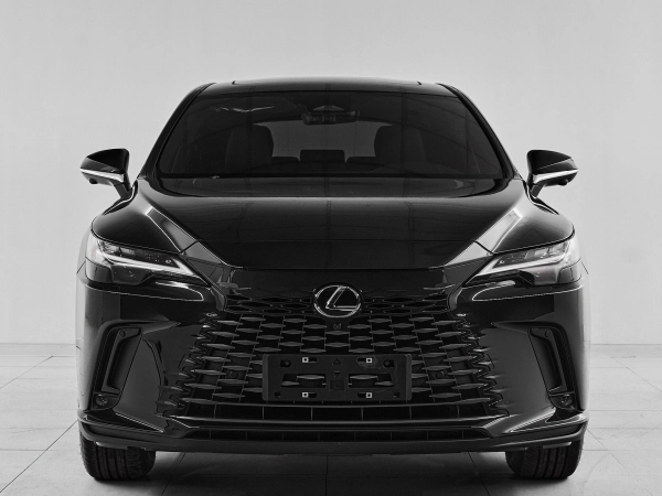 Lexus RX, V фото №2