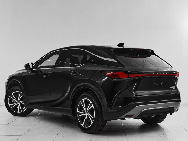 Lexus RX, V фото №4