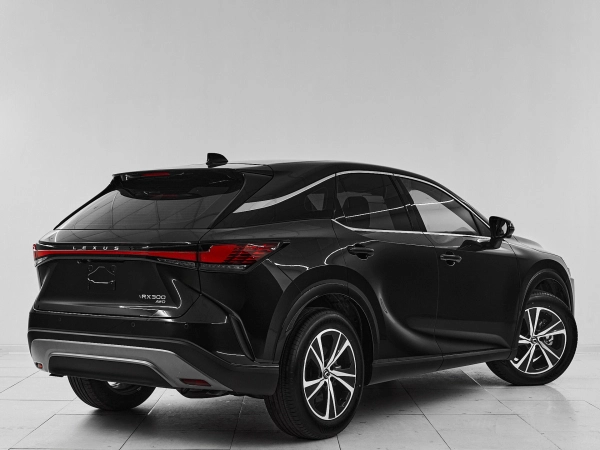 Lexus RX, V фото №6