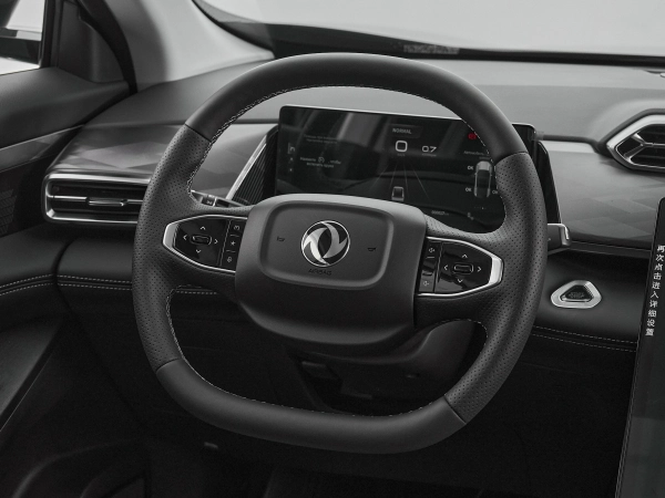Dongfeng Mage, I фото №11