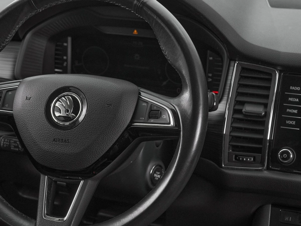 Skoda Kodiaq, I фото №12
