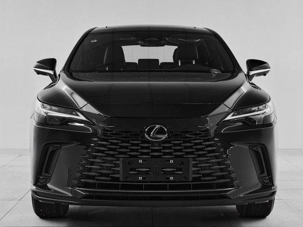 Lexus RX, V фото №2