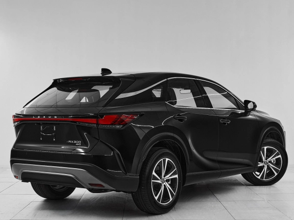 Lexus RX, V фото №6