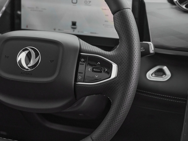 Dongfeng Mage, I фото №13