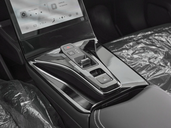 Dongfeng Mage, I фото №17