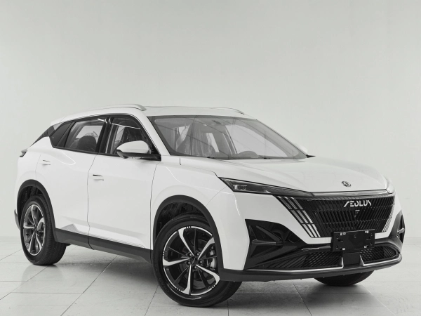 Dongfeng Mage, I фото №3