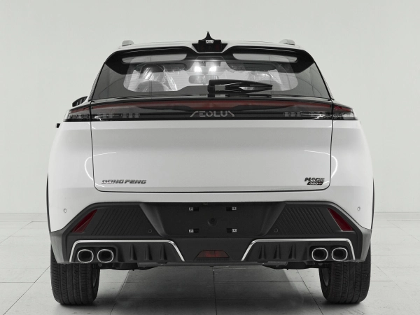 Dongfeng Mage, I фото №5