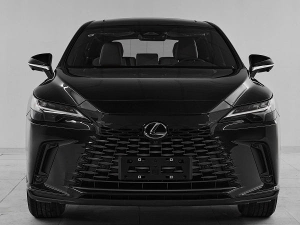 Lexus RX, V фото №2