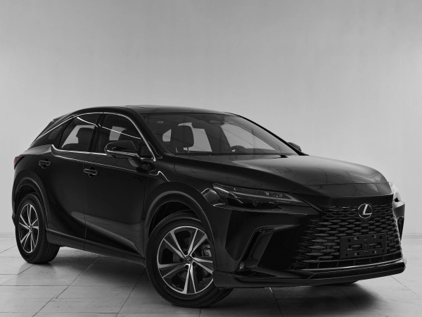 Lexus RX, V фото №3
