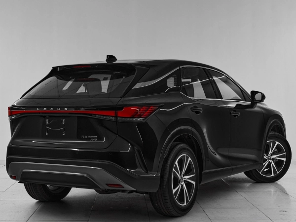 Lexus RX, V фото №6