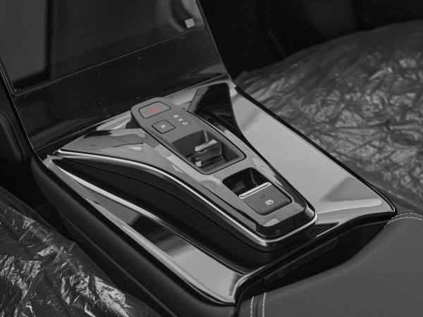 Dongfeng Mage, I фото №17
