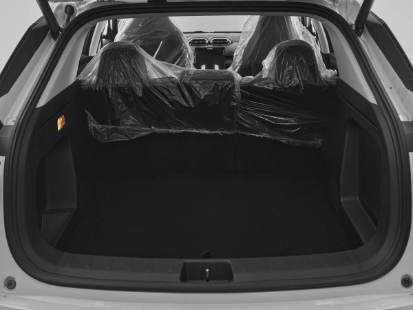 Dongfeng Mage, I фото №19