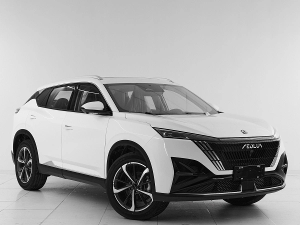 Dongfeng Mage, I фото №3