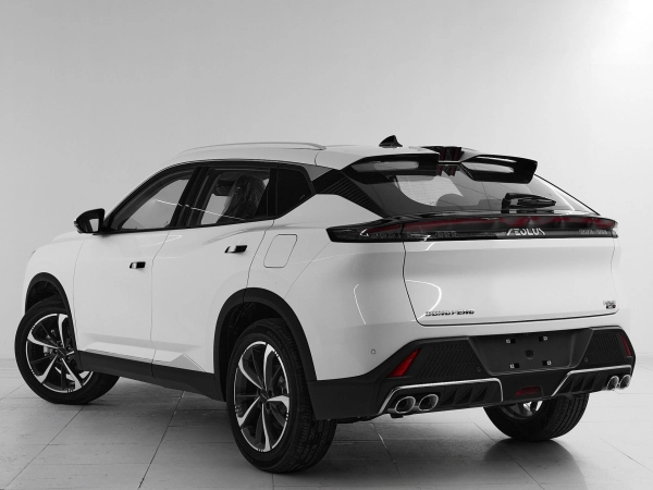 Dongfeng Mage, I фото №4