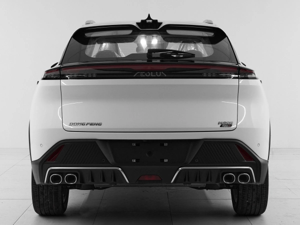 Dongfeng Mage, I фото №5