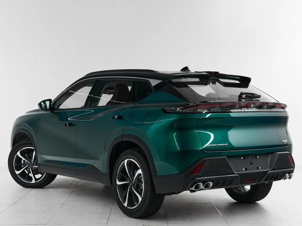 Dongfeng Mage, I фото №4