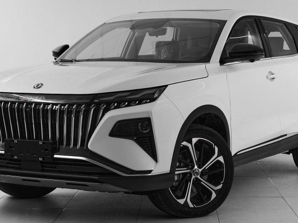 Dongfeng Huge, I фото №1