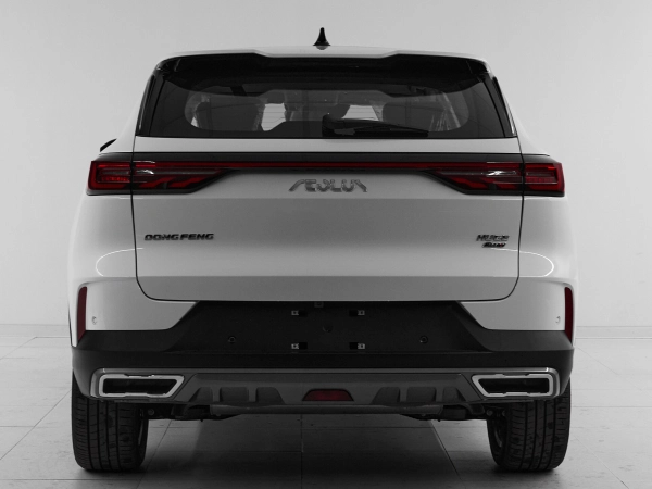 Dongfeng Huge, I фото №5